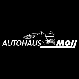 Logo Firma Autohaus Moll GmbH & Co. KG in Ochsenhausen