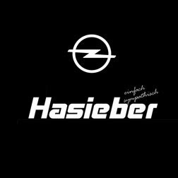 Logo Firma Autohaus Hasieber in Erbach